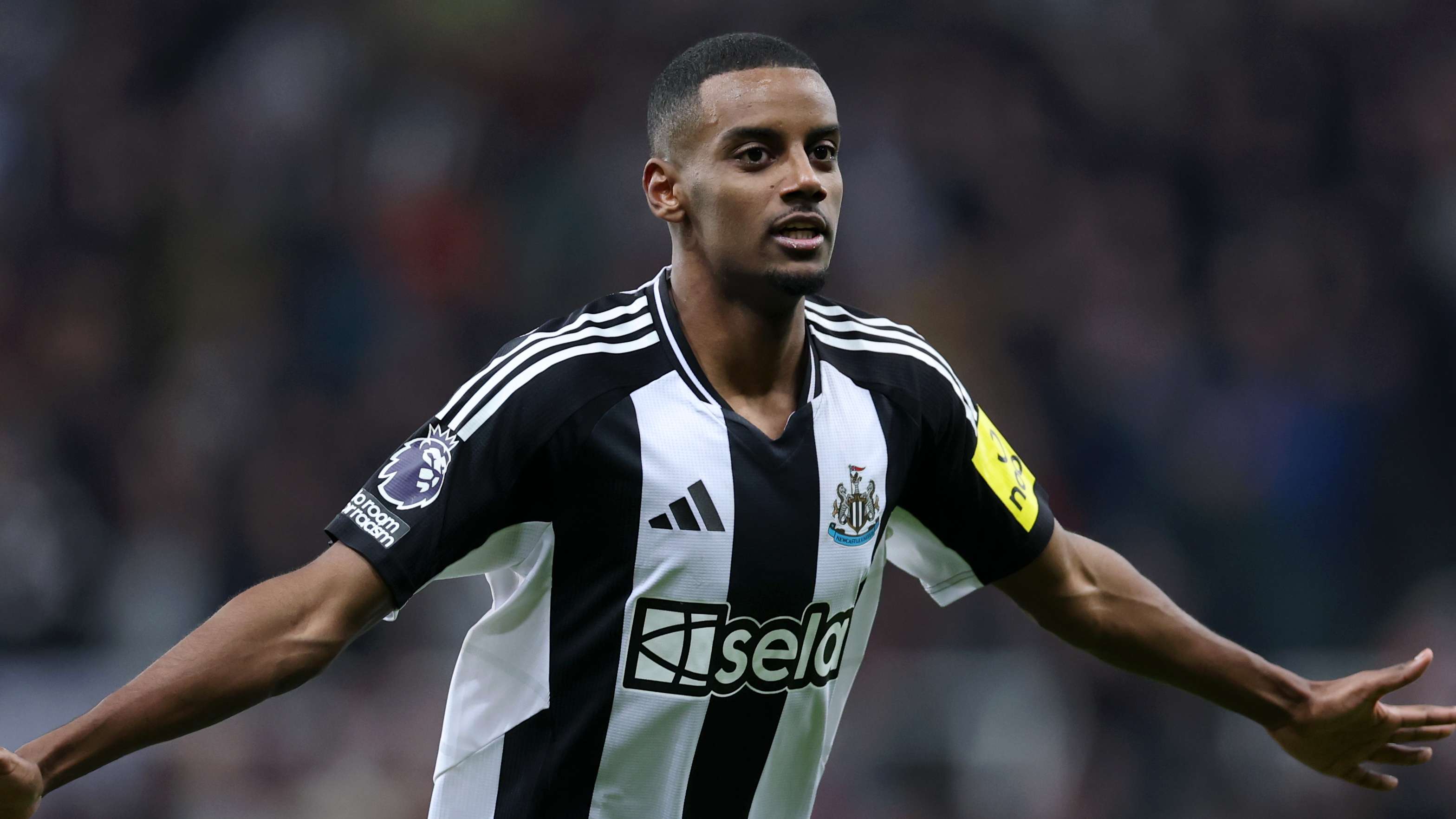 亮點不僅體 亮點不僅體